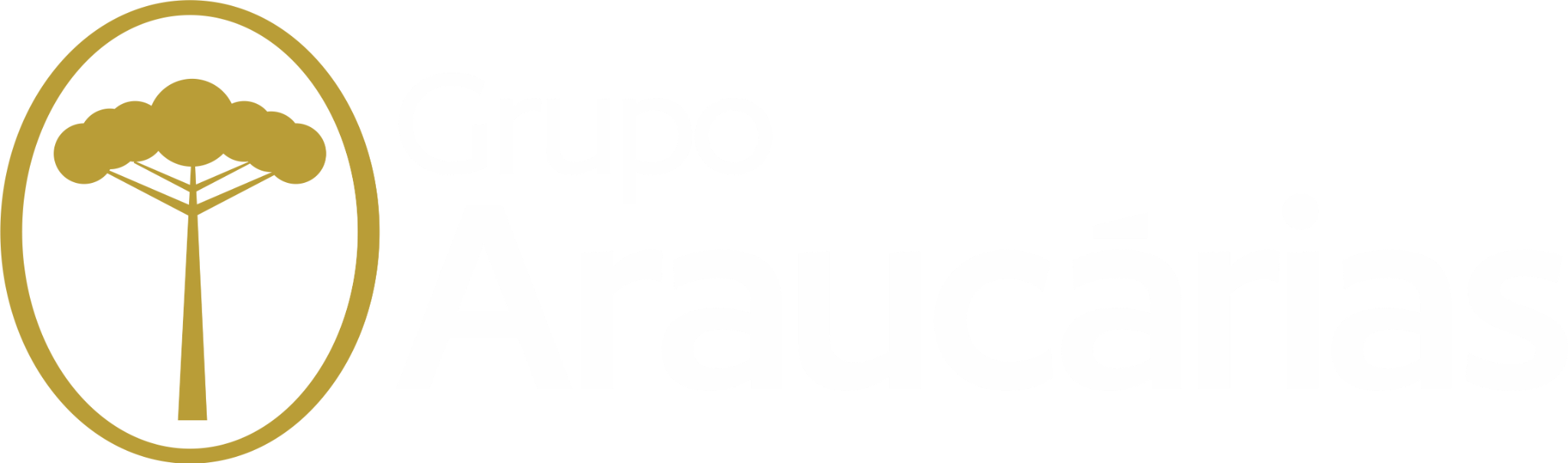 Grupo Araucárias